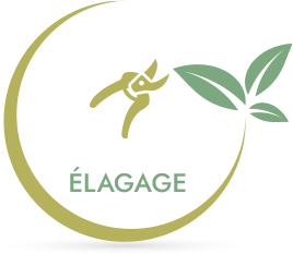 élagage Milly-la-Forêt, élagage La Ferté-Alais, élagage Mennecy